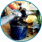 麻豆免费版免费下载