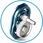 麻豆免费版免费下载