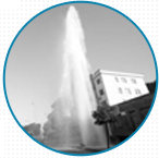 麻豆免费版免费下载