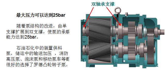 凸轮麻豆视频免费下载 凸轮麻豆视频免费下载