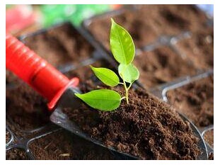 污泥入土.jpg 污泥入土.jpg