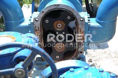 凸轮麻豆视频免费下载