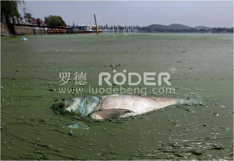 麻豆免费版免费下载凸轮麻豆视频免费下载