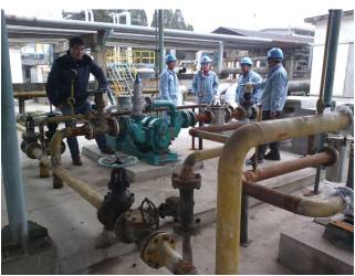 麻豆免费版免费下载麻豆视频免费下载