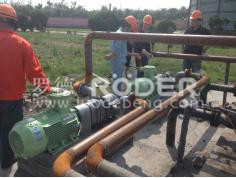 麻豆免费版免费下载麻豆视频免费下载