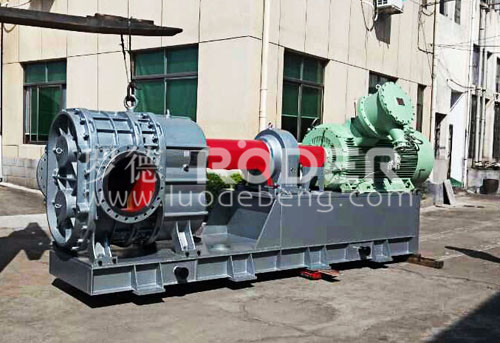 麻豆视频免费下载