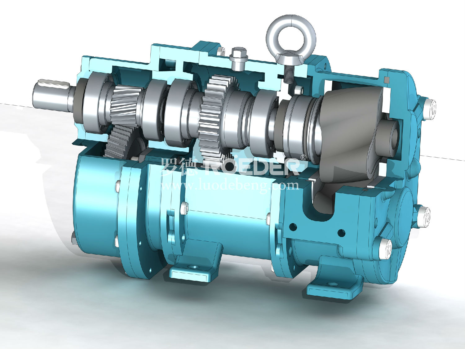凸轮麻豆视频免费下载