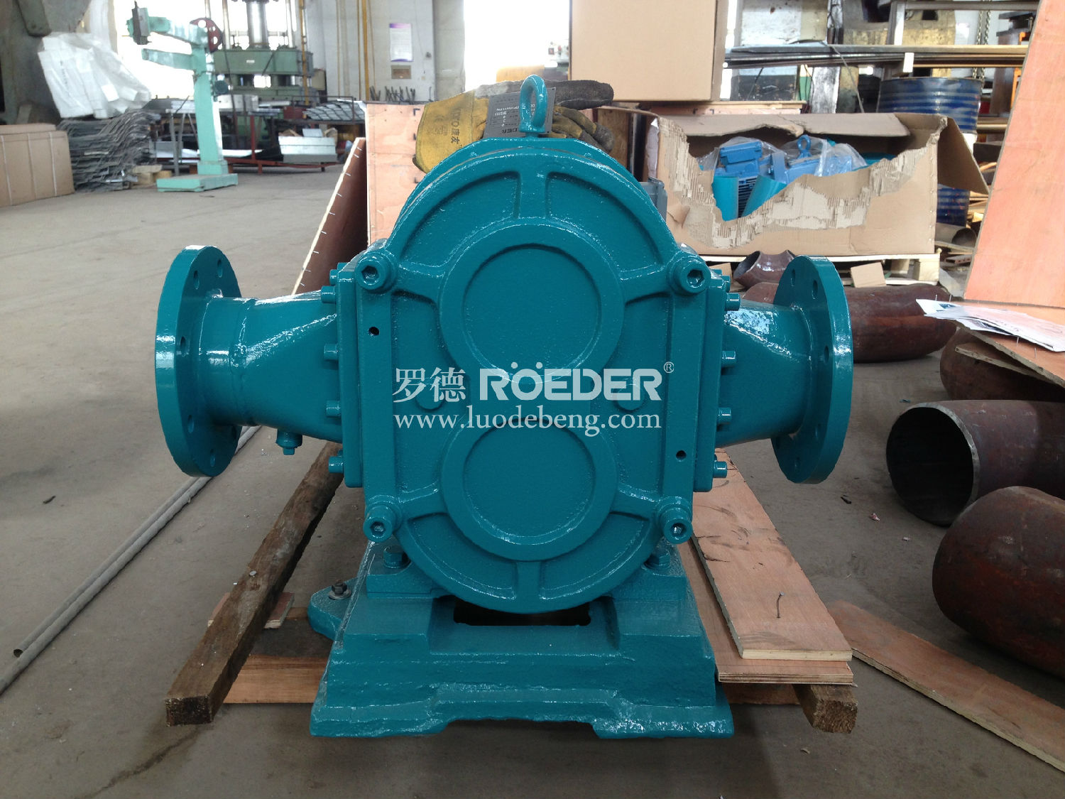 麻豆视频免费下载