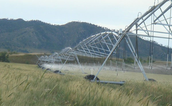 麻豆免费版免费下载麻豆国产免费参与东北节水增粮项目行动