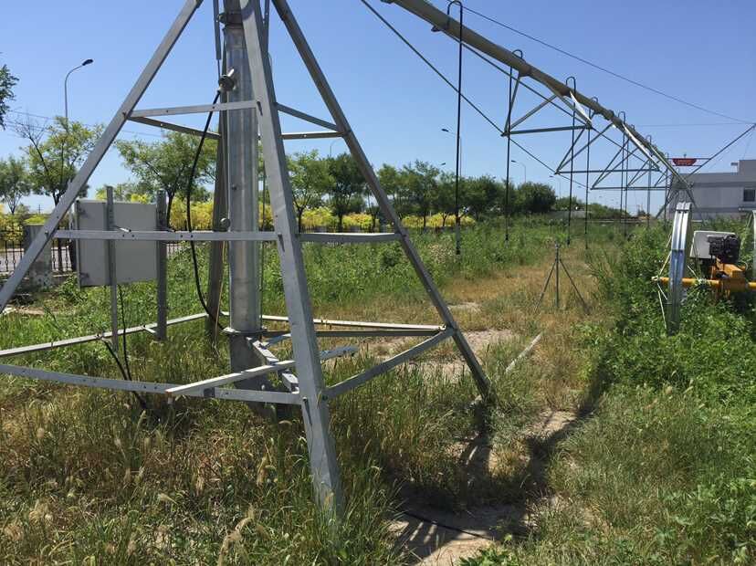 青岛麻豆免费版免费下载参与节水增粮行动