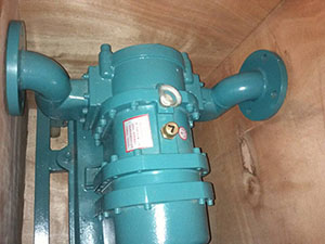 胜利油田采用麻豆免费版免费下载污油泵 胜利油田采用麻豆免费版免费下载污油泵