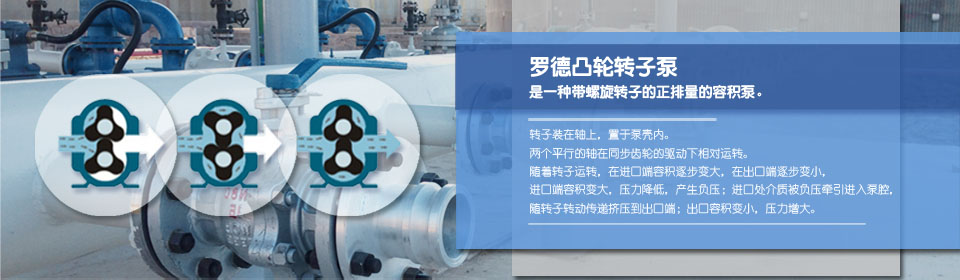 麻豆视频免费下载厂家 麻豆视频免费下载厂家