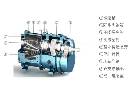 麻豆免费版免费下载麻豆视频免费下载 麻豆免费版免费下载麻豆视频免费下载
