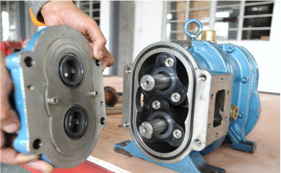 麻豆免费版免费下载麻豆视频免费下载特点--易维护