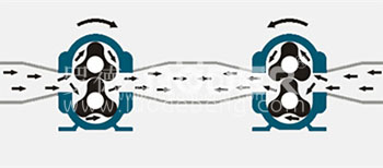 麻豆免费版免费下载凸轮麻豆视频免费下载可以正反转装车卸车一台泵就可以完成 麻豆免费版免费下载凸轮麻豆视频免费下载可以正反转装车卸车一台泵就可以完成