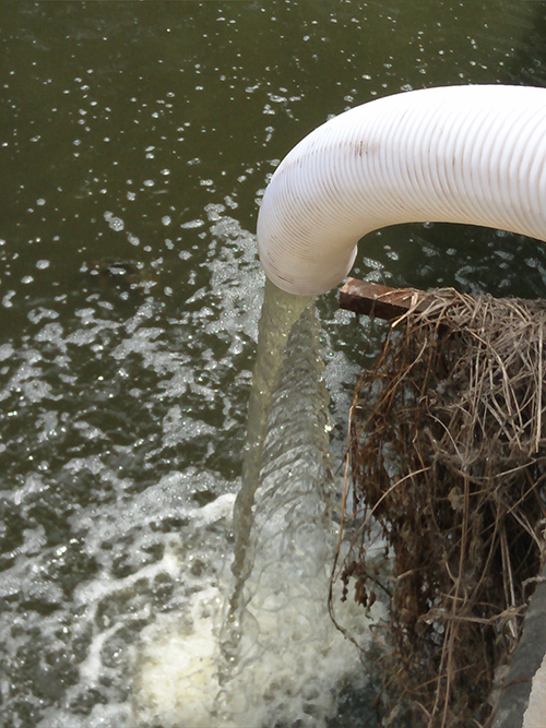 麻豆视频免费下载无堵塞麻豆国产免费 麻豆视频免费下载无堵塞麻豆国产免费