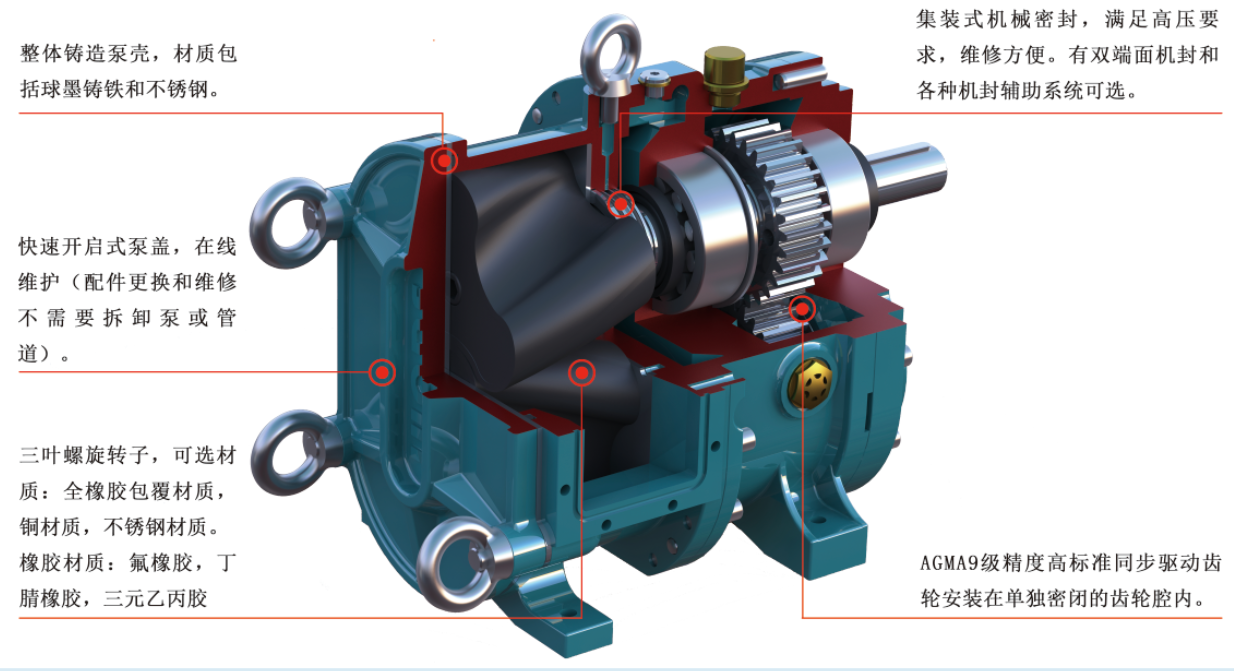 麻豆视频免费下载结构 麻豆视频免费下载结构