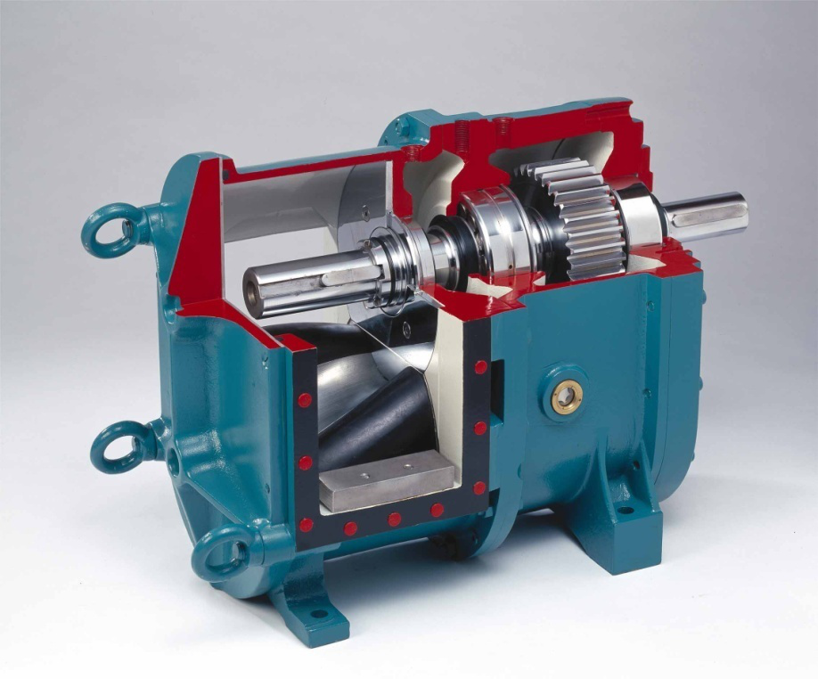 麻豆视频免费下载