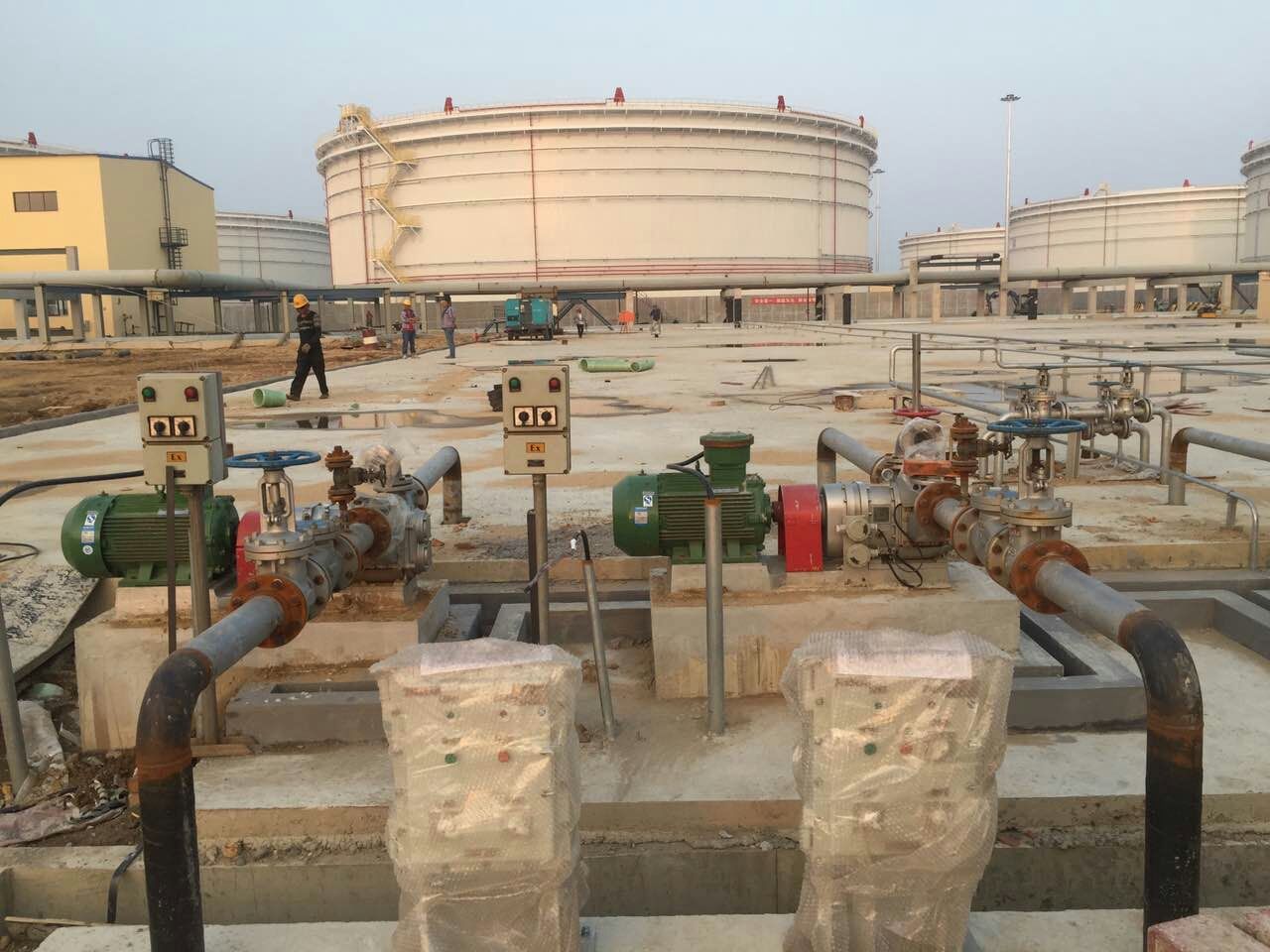 节能麻豆视频免费下载