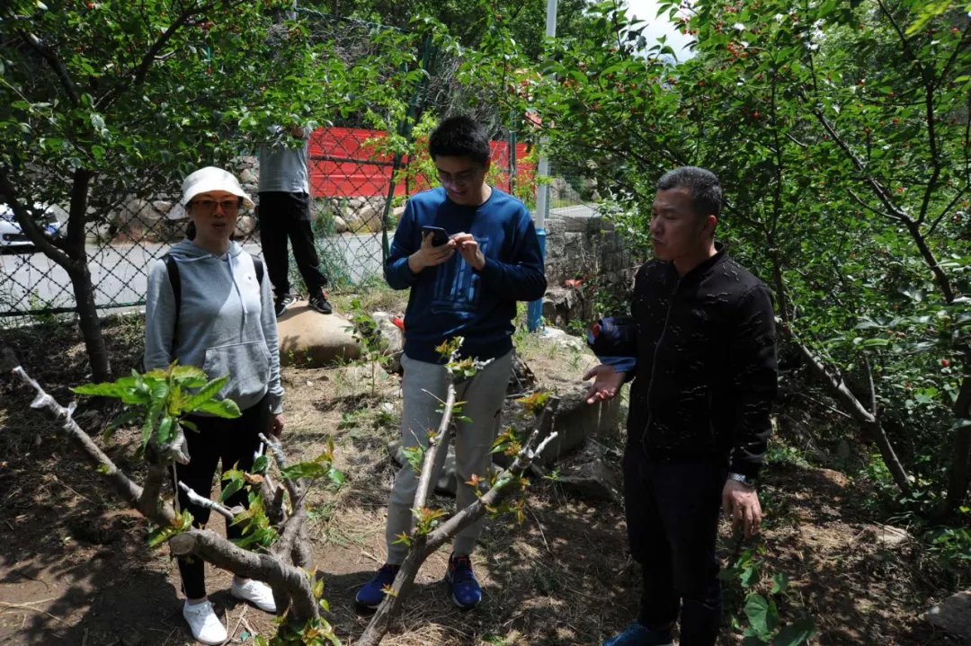 麻豆免费版免费下载春游 麻豆免费版免费下载春游