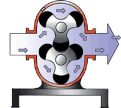 凸轮麻豆视频免费下载