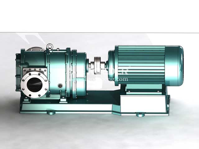 麻豆视频免费下载