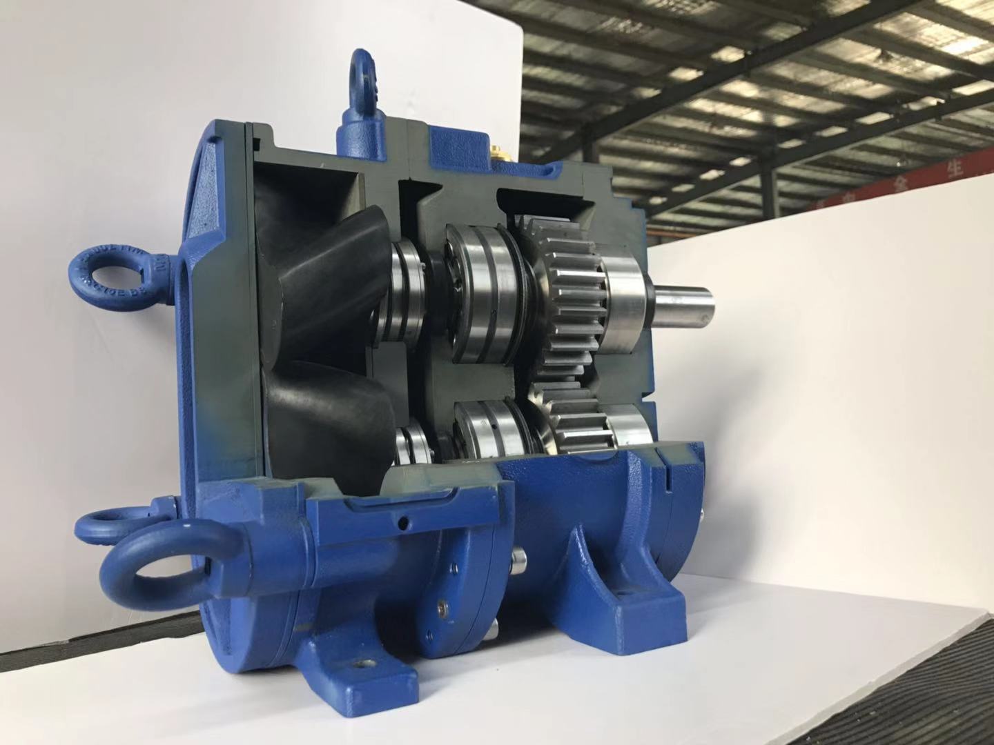 麻豆视频免费下载