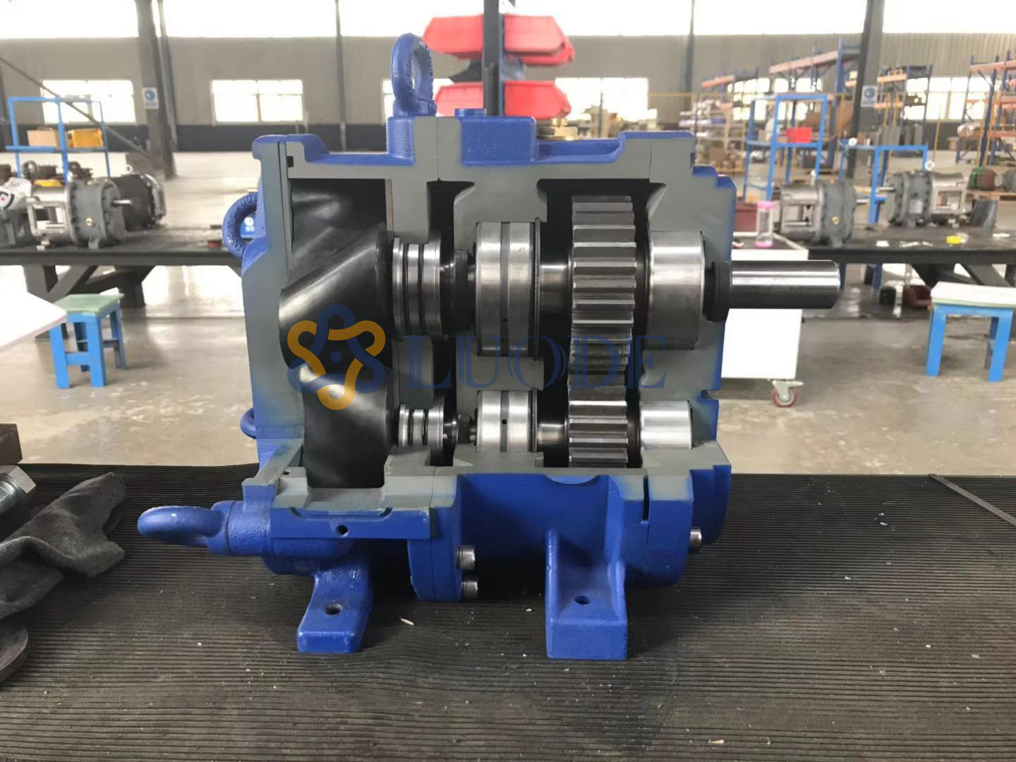 凸轮麻豆视频免费下载