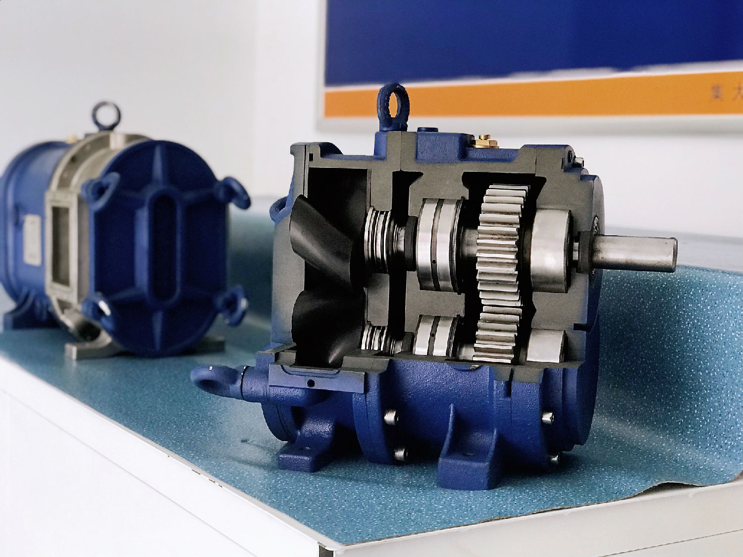 麻豆视频免费下载