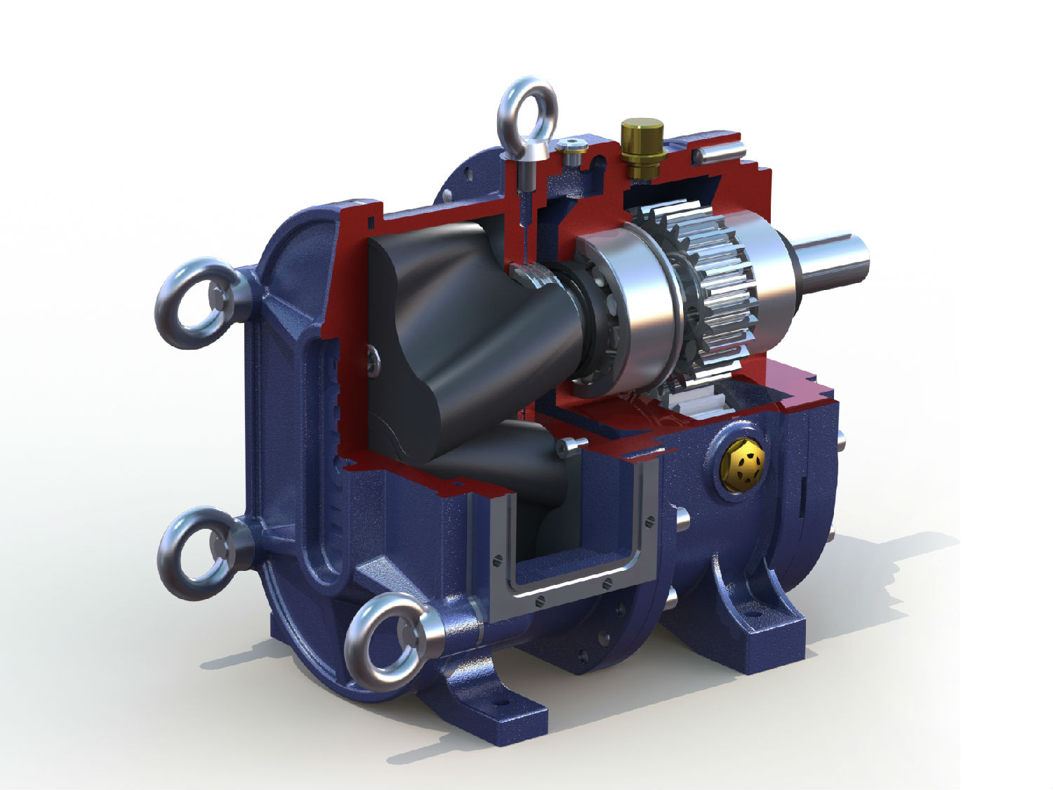 麻豆视频免费下载