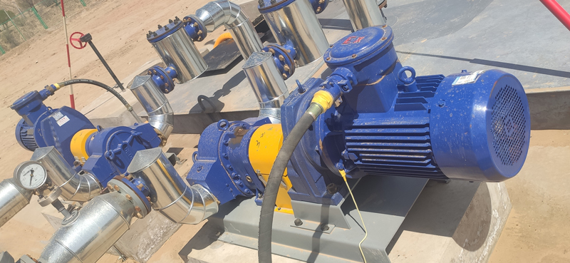 麻豆视频免费下载