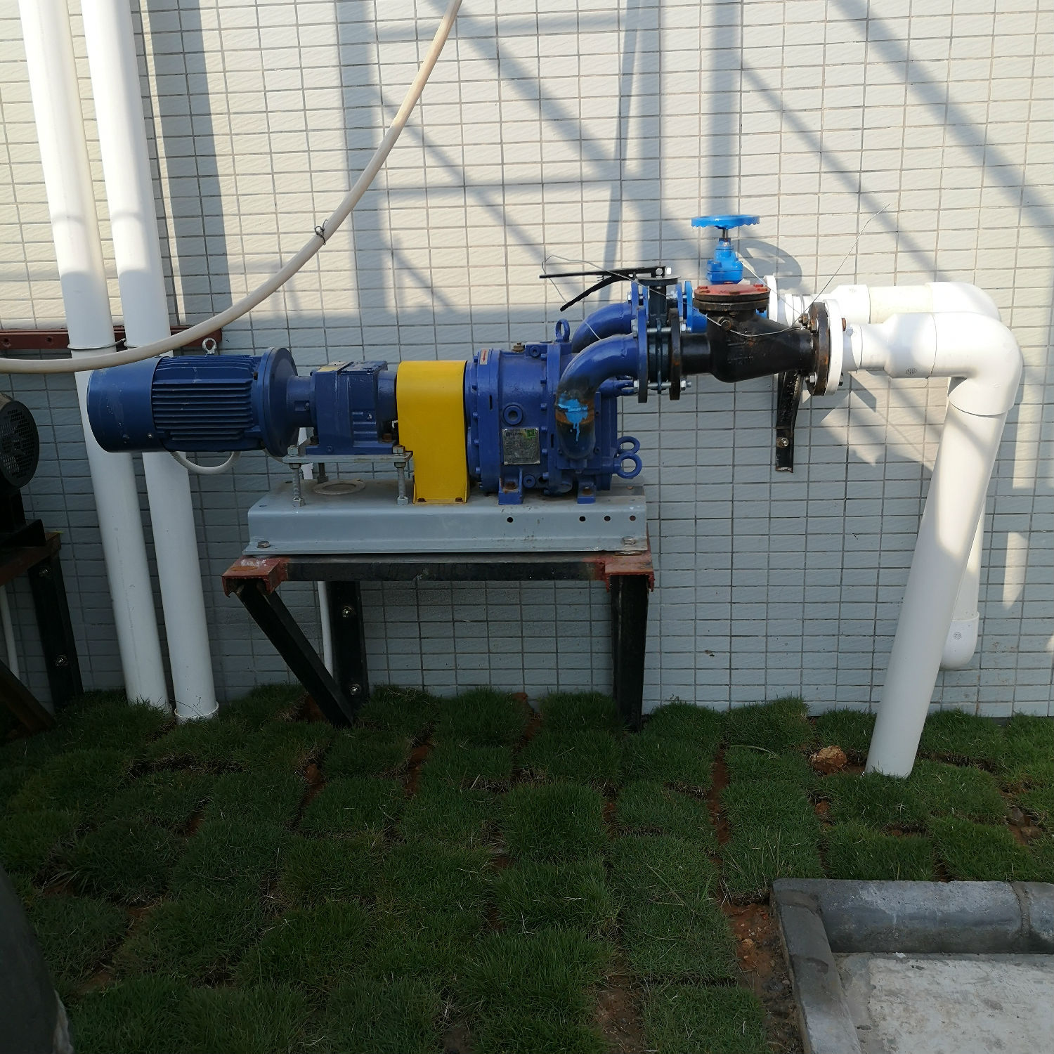 麻豆视频免费下载 麻豆视频免费下载