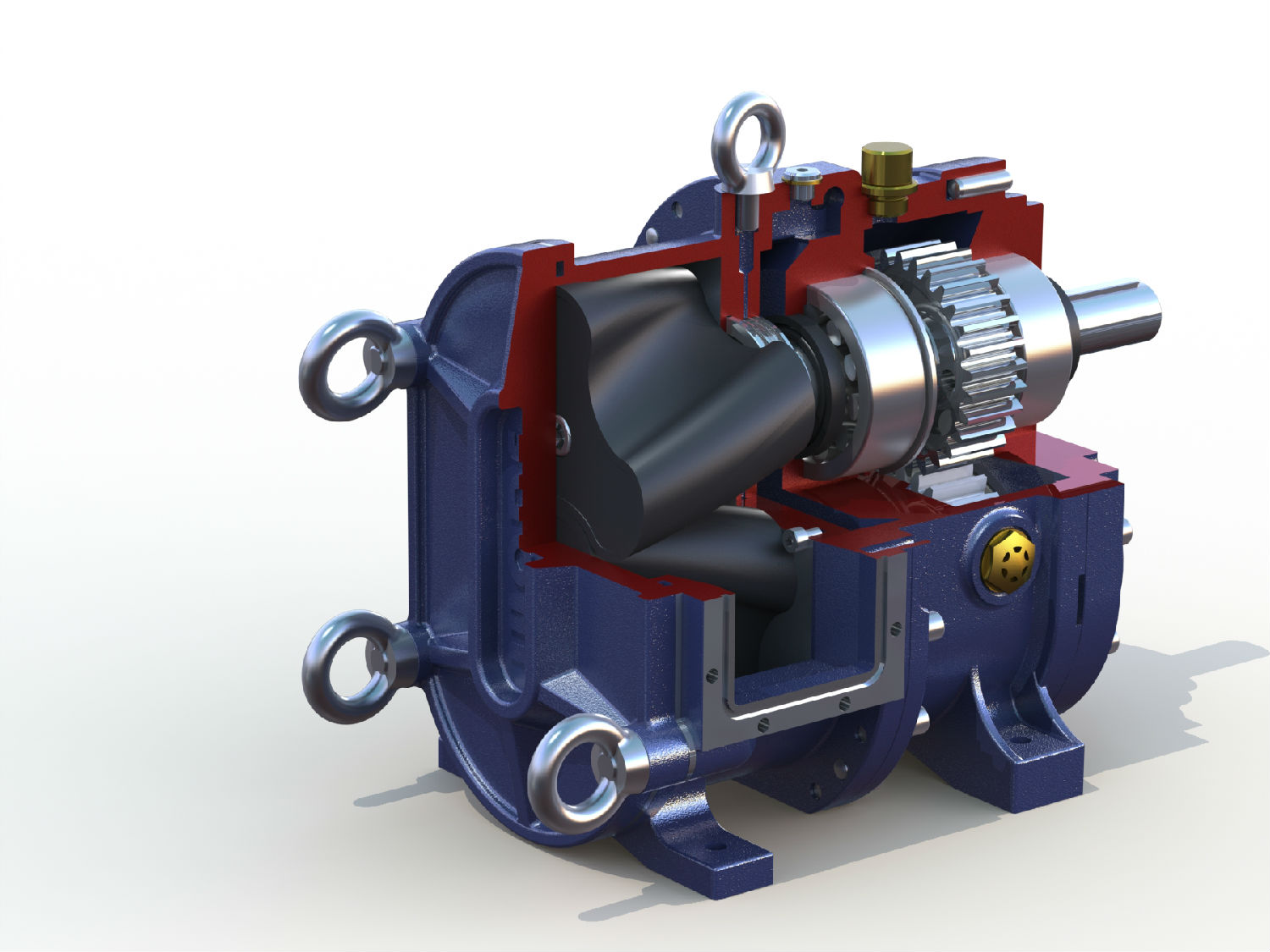 麻豆视频免费下载剖面图